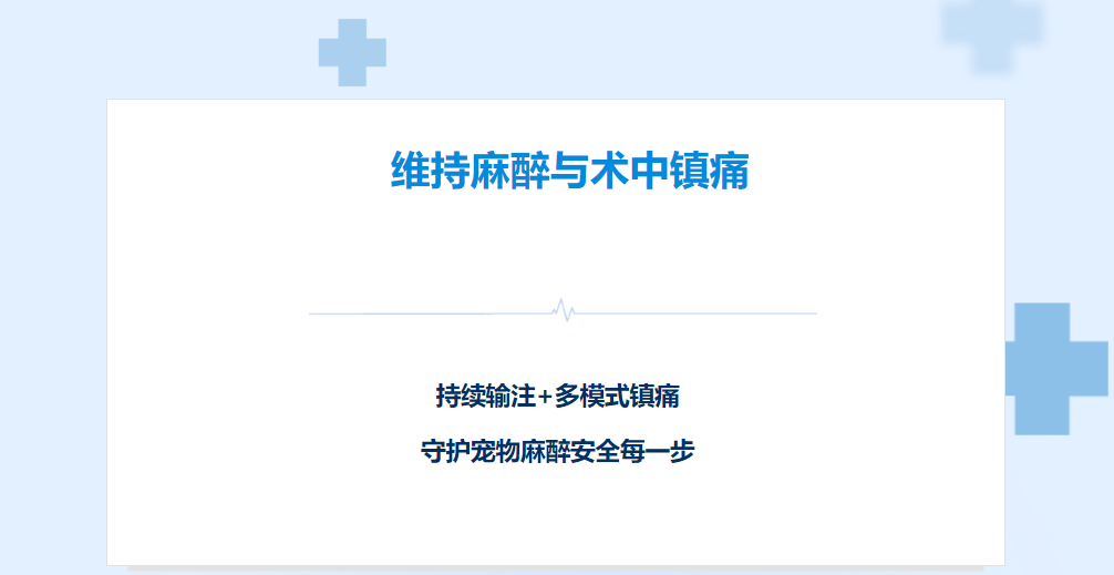 【贝宠知】| 维持麻醉与术中镇痛，持续输注+多模式镇痛，守护宠物麻醉安全每一步！