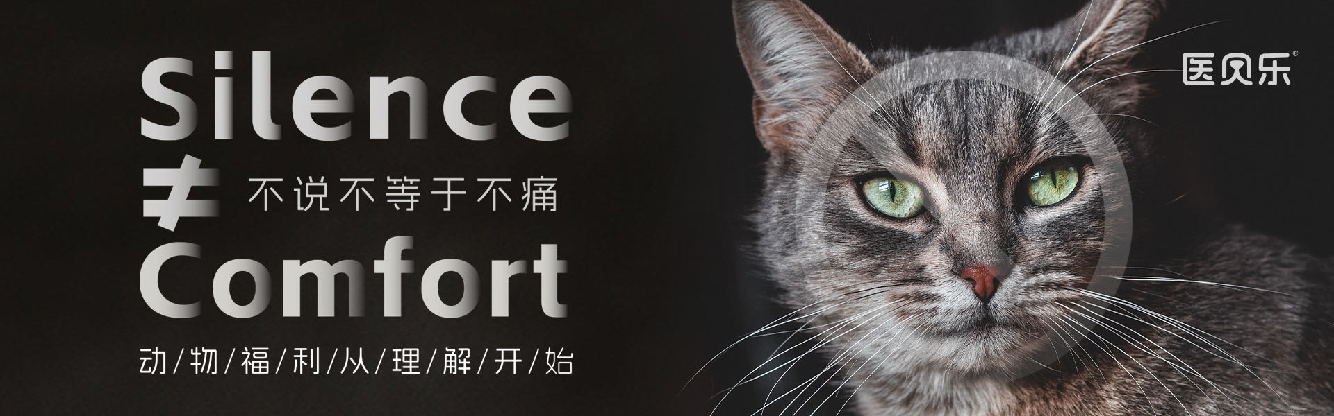 979900f39d7257a68554b0c021d2c7f