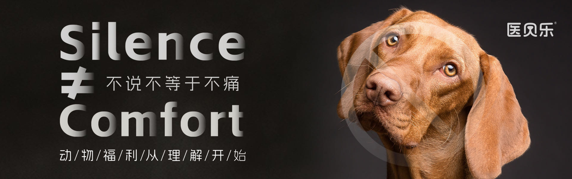 d9f85d24dd354b2e837f124edce2340